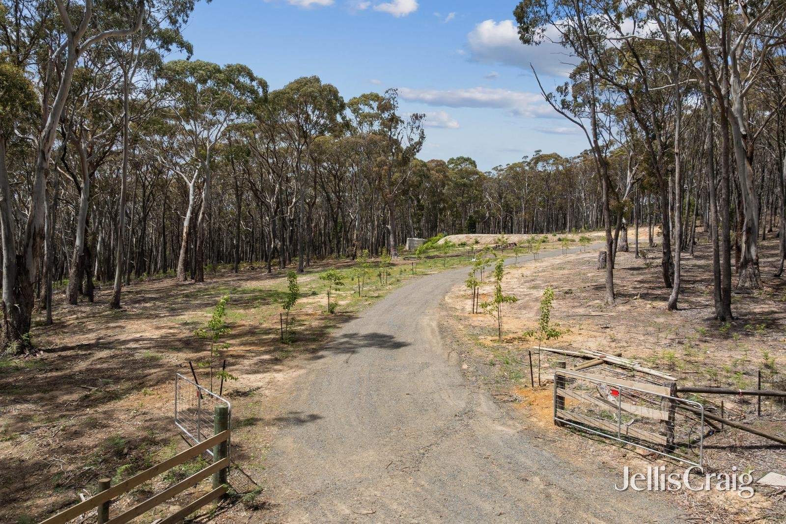 34 Thomas Court, Gordon image 1