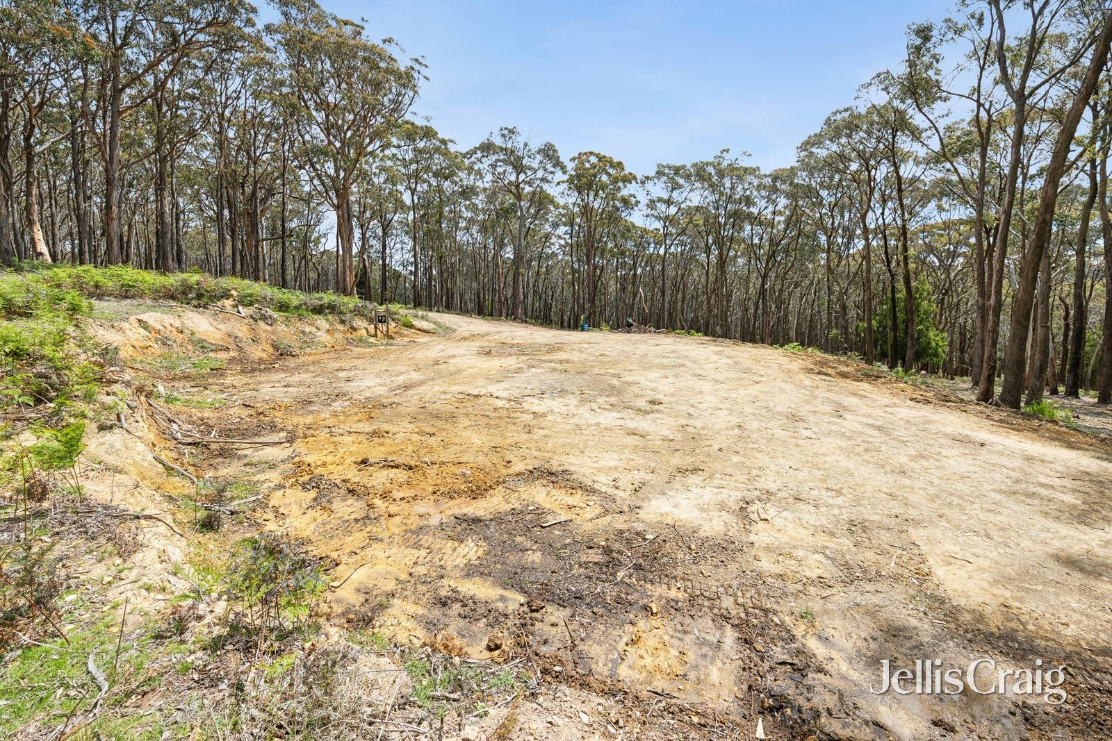 34 Thomas Court, Gordon image 5