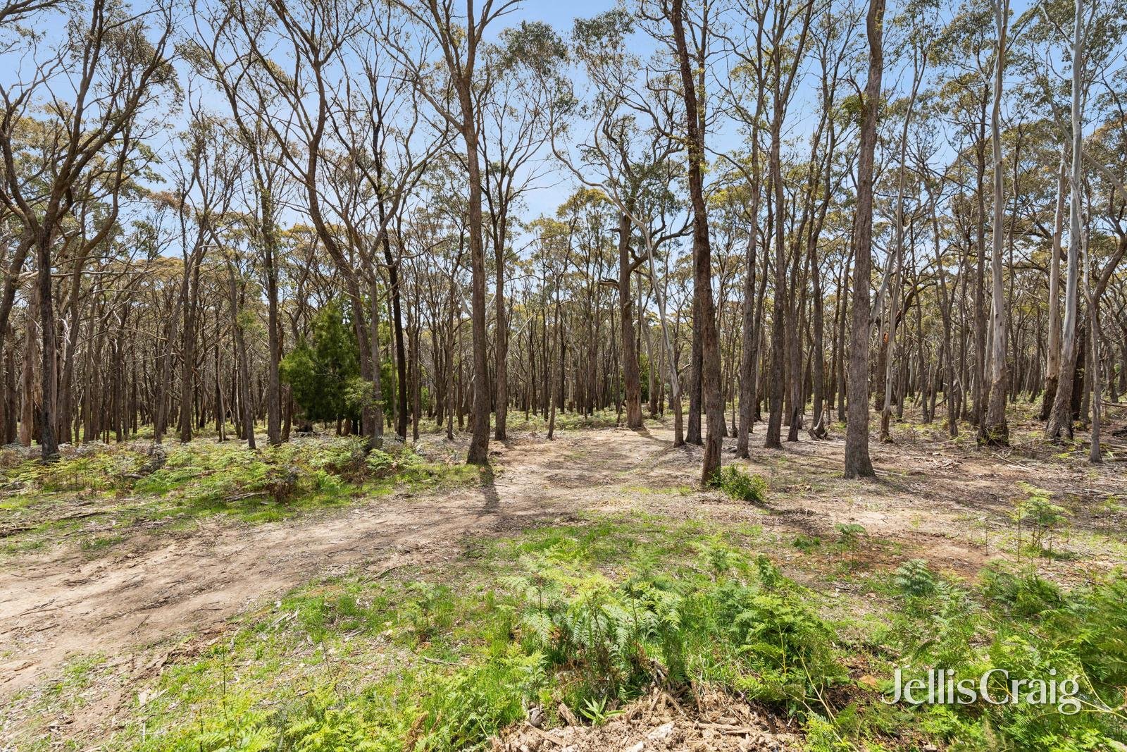 34 Thomas Court, Gordon image 6