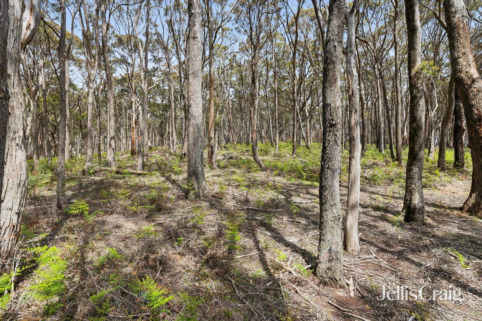 34 Thomas Court, Gordon image 7