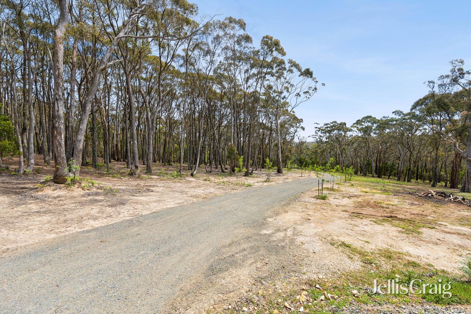 34 Thomas Court, Gordon image 10