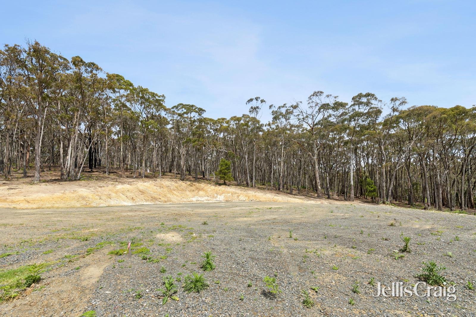 34 Thomas Court, Gordon image 13