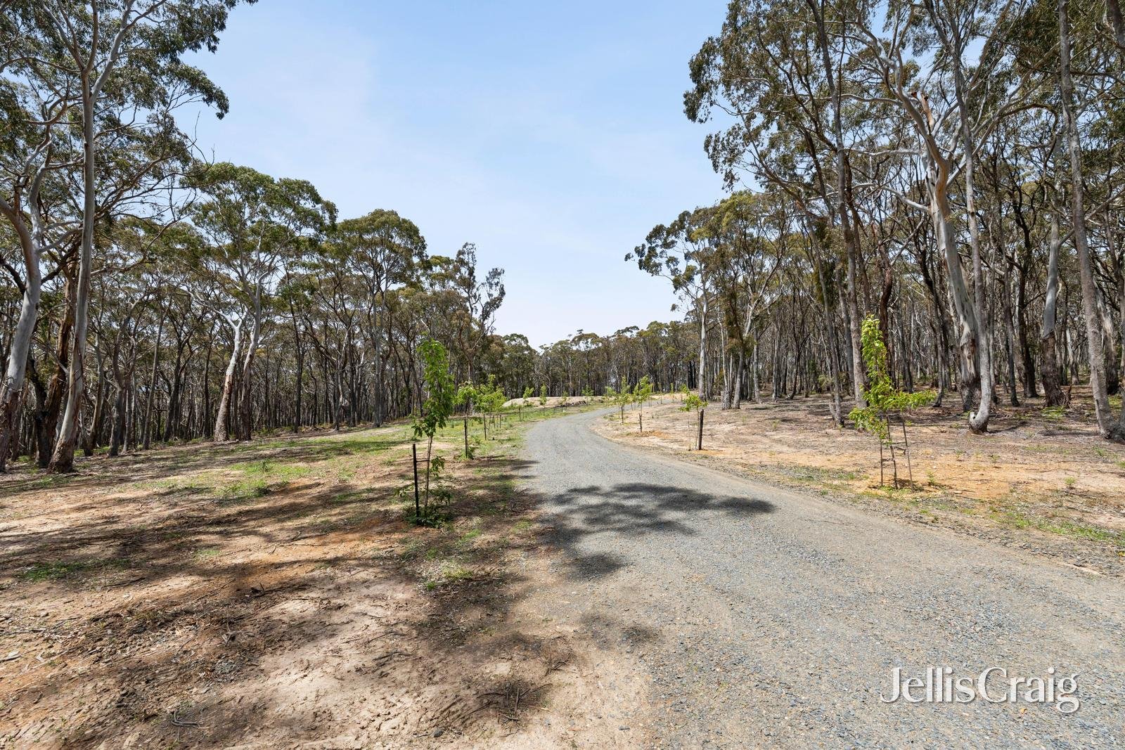 34 Thomas Court, Gordon image 14