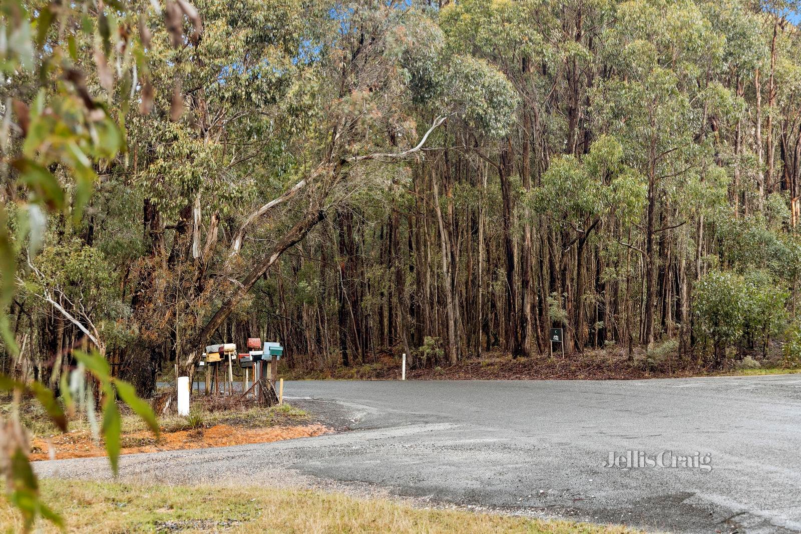 340 Trentham Spring Hill Road, Spring Hill image 4