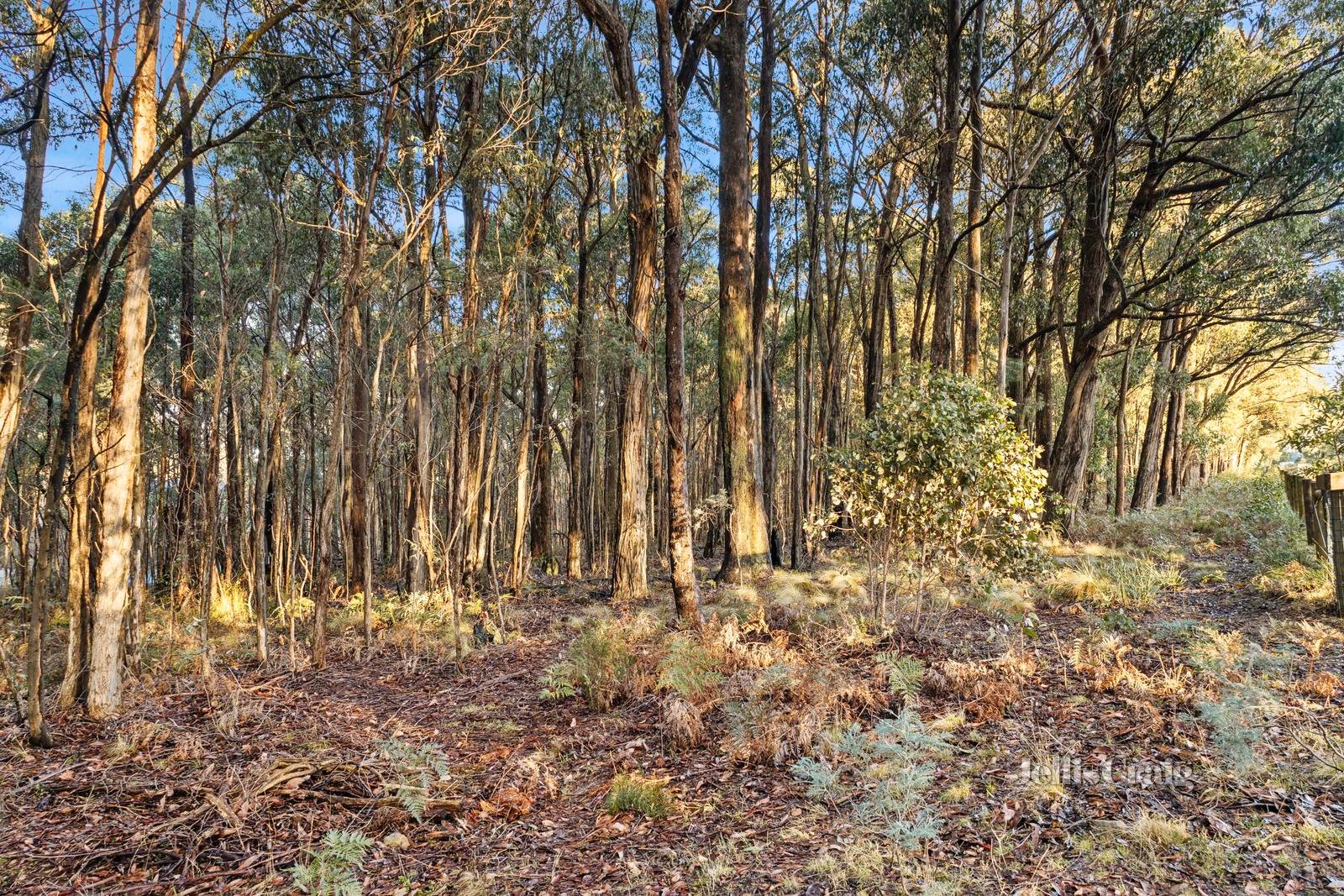 340 Trentham Spring Hill Road, Spring Hill image 6