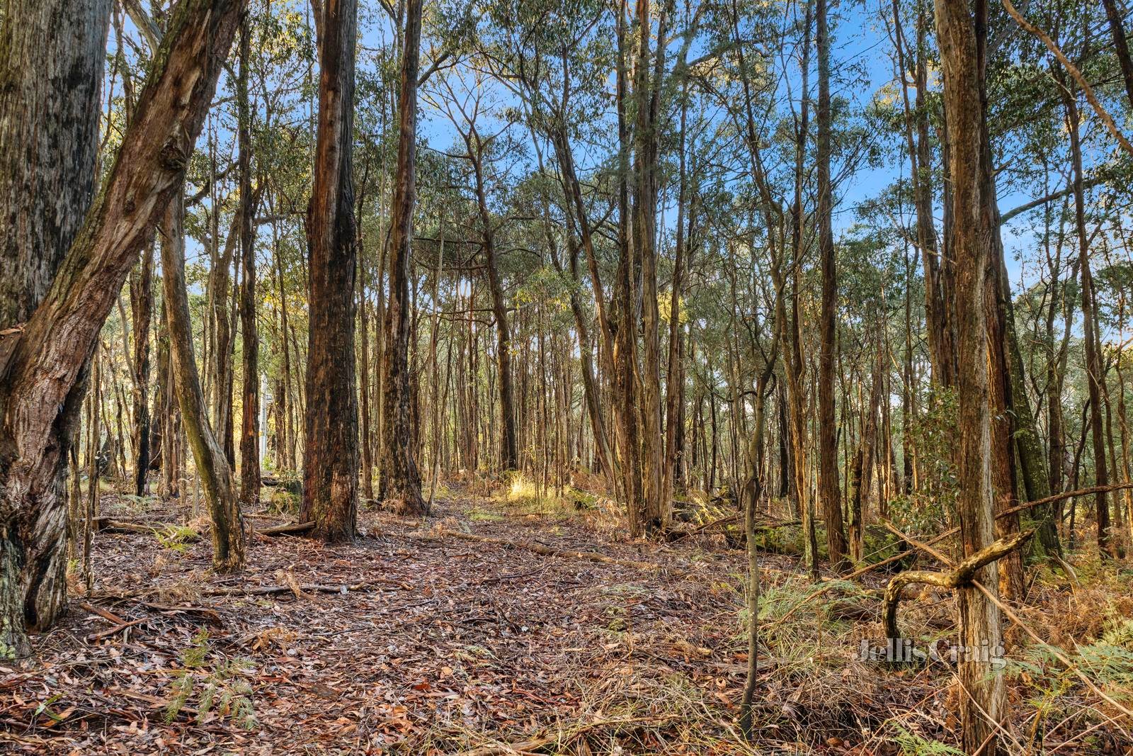 340 Trentham Spring Hill Road, Spring Hill image 8