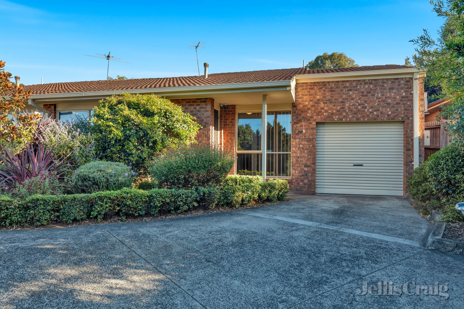 3/41-43 Alma Street, Lower Plenty image 1