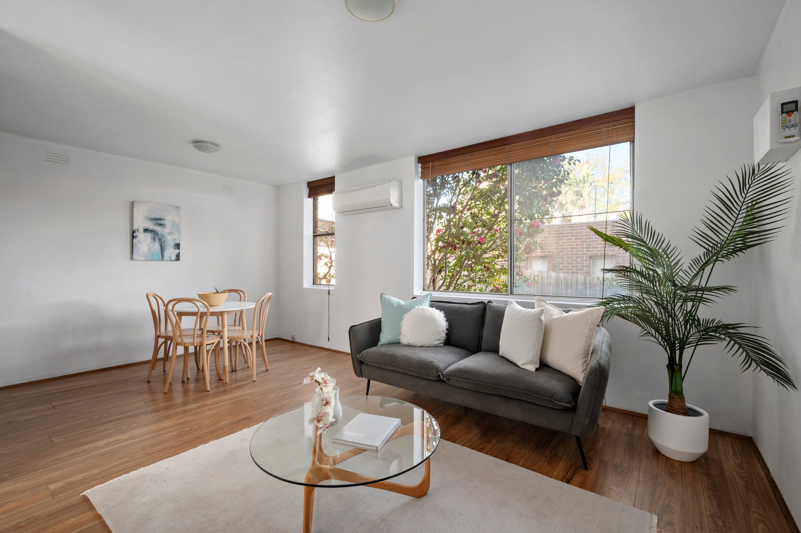 3/41 Morang Road