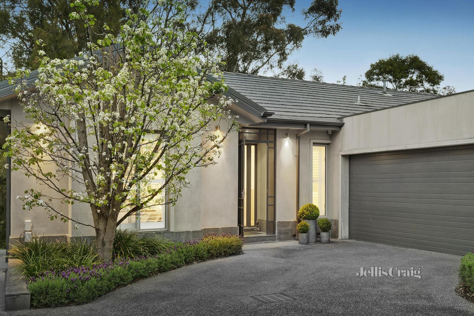 3/44 Warburton Road, Canterbury image 9