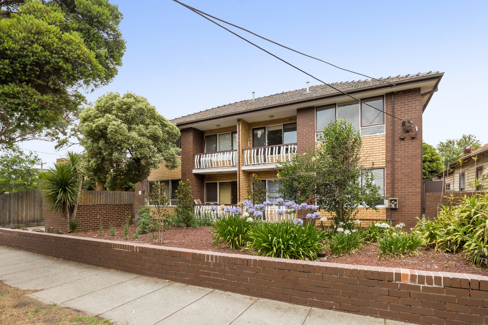 3/45 Blackwood Street, Carnegie image 1