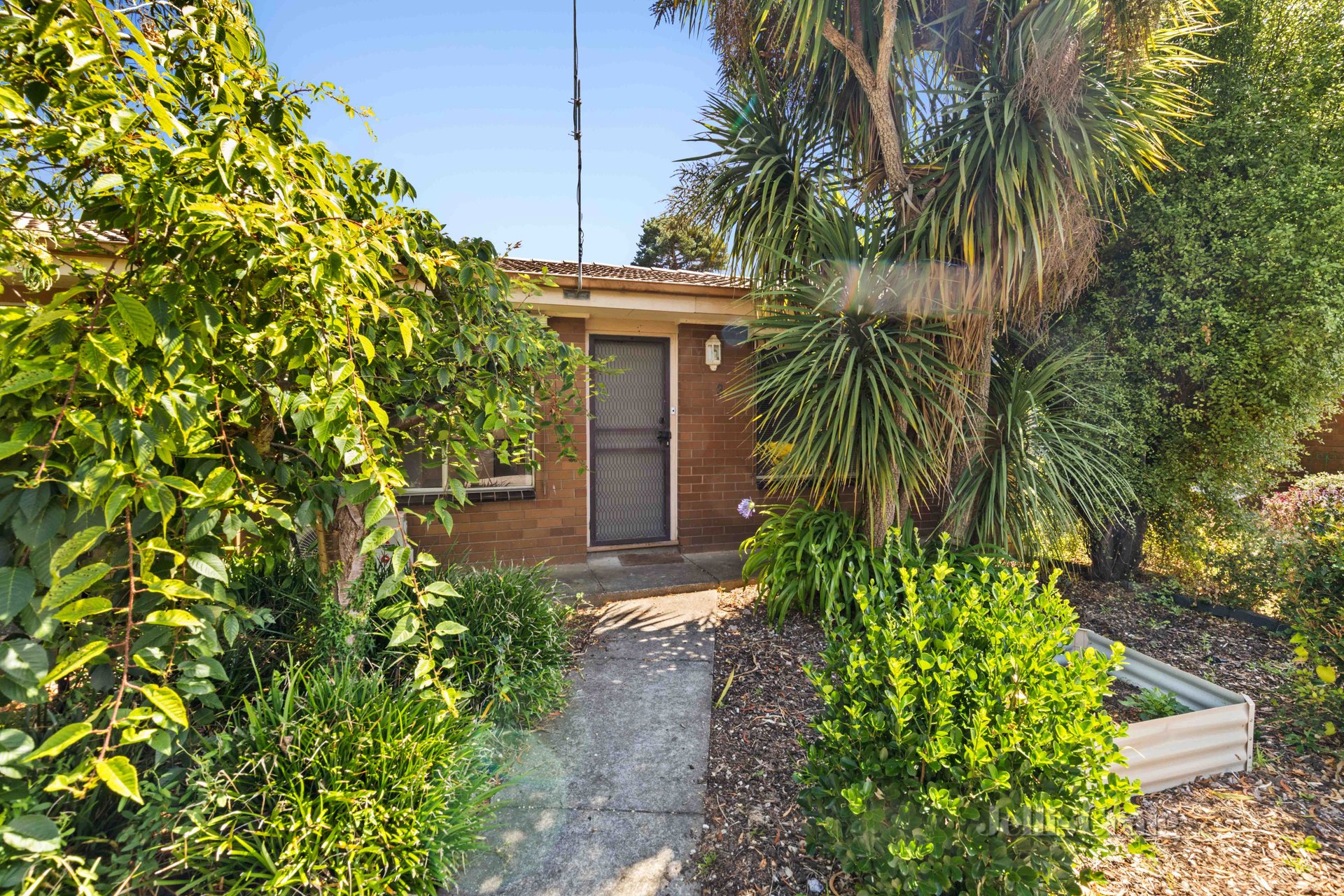 3/45 Otway Street South, Ballarat&nbsp;East image 1