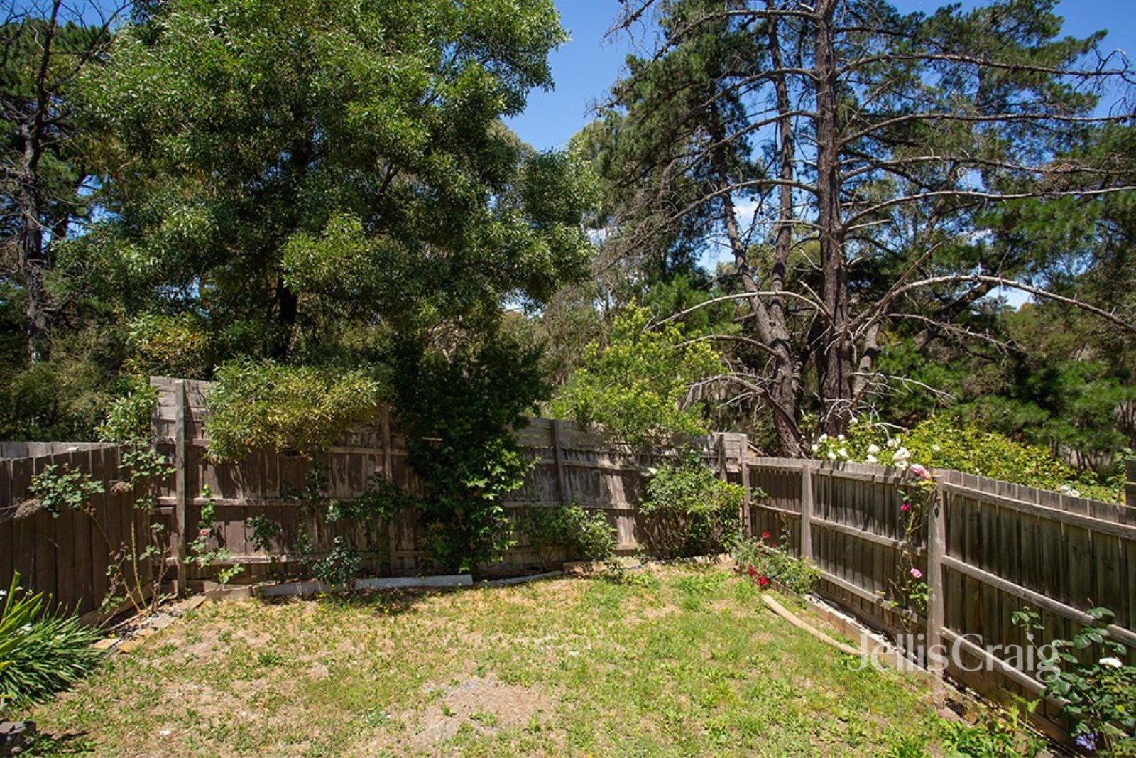 3/46 Gedye Street, Doncaster East image 9