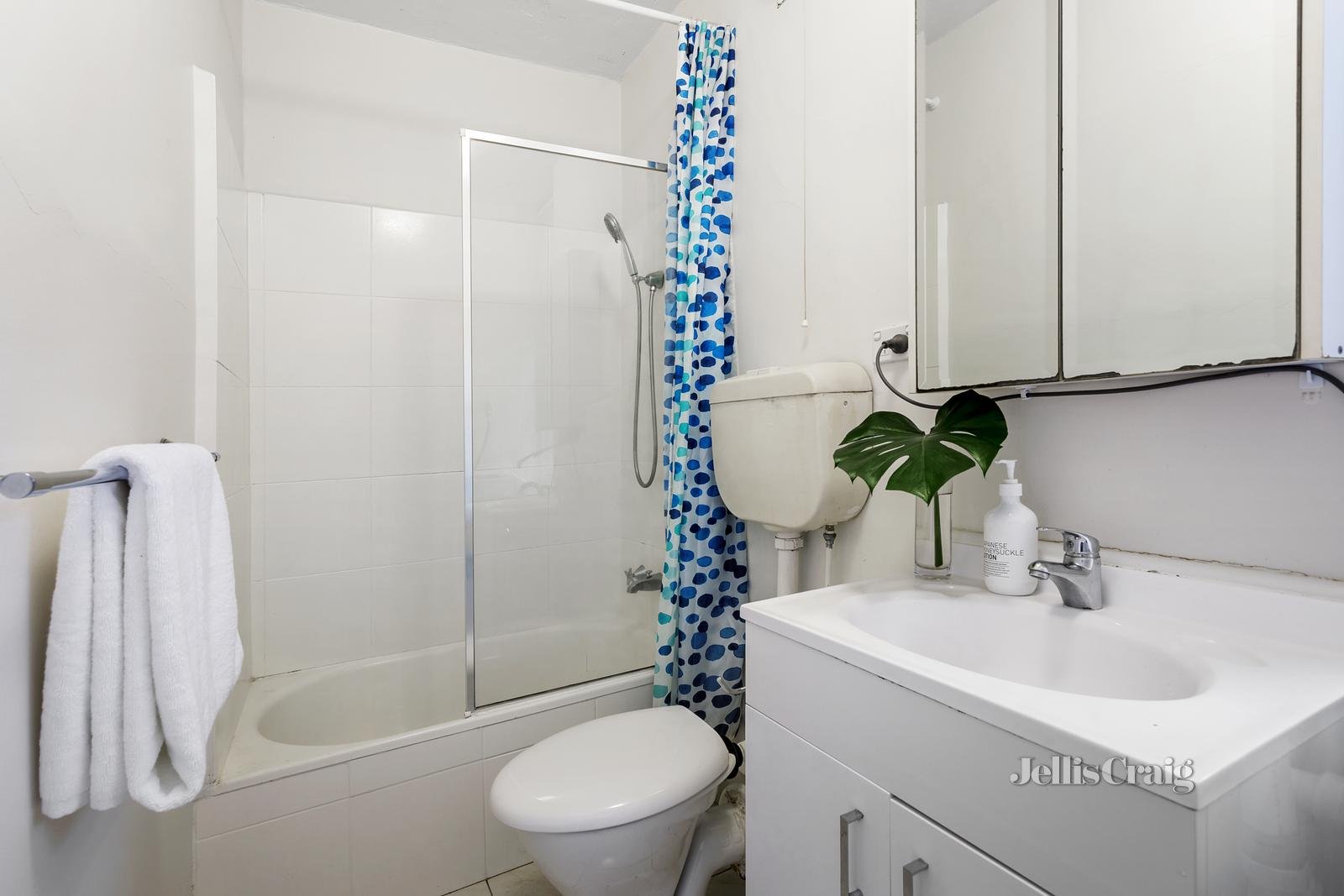 3/49 Osborne Street, South Yarra image 4