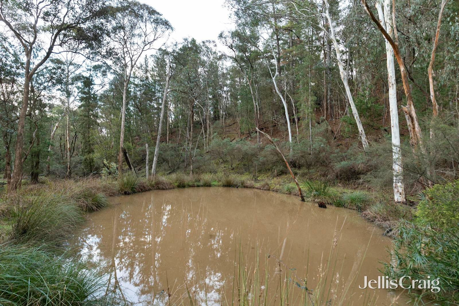 35 Bailey Gully Road, Hurstbridge image 18