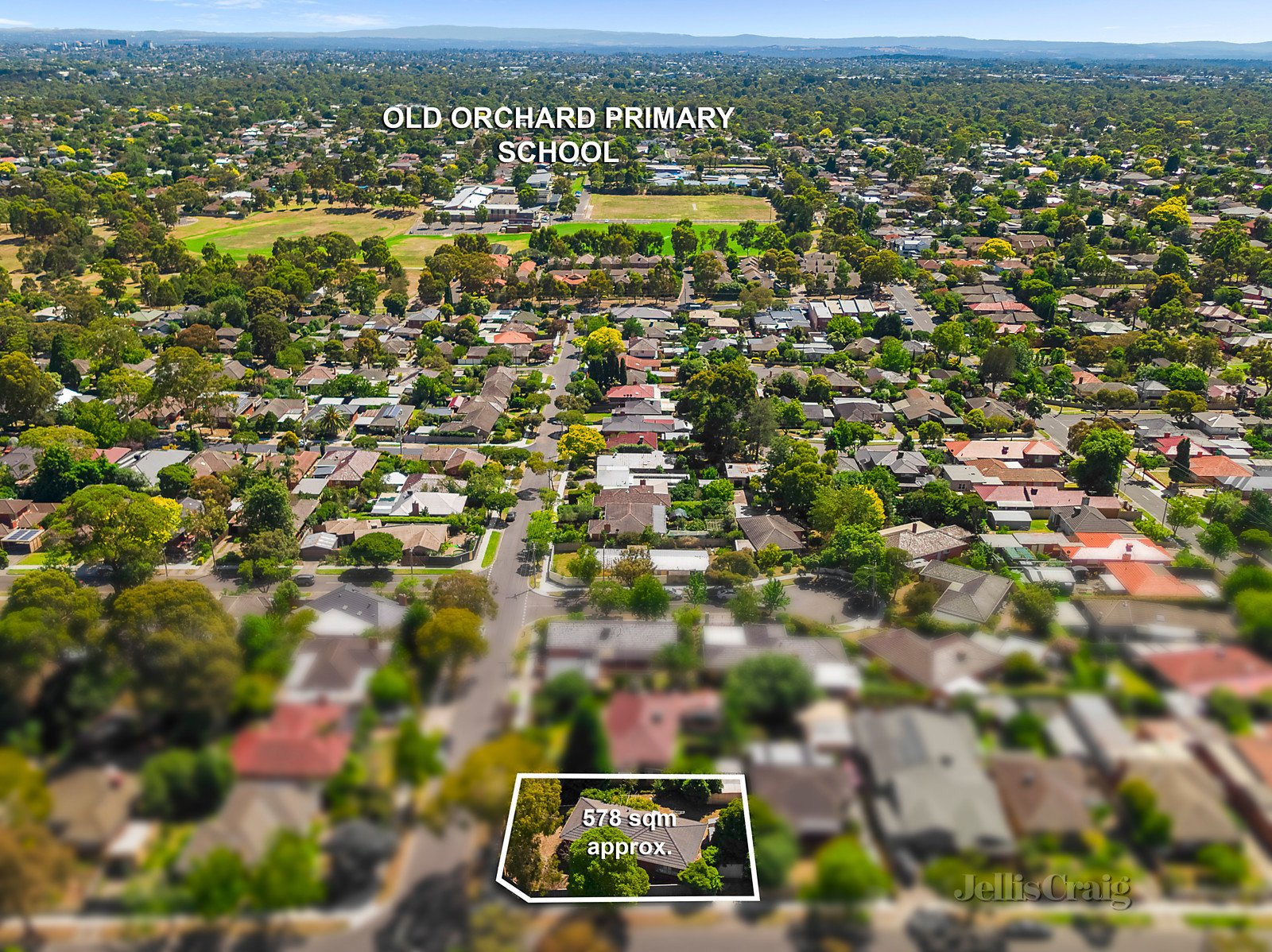 35 Bermuda Drive, Blackburn South image 6