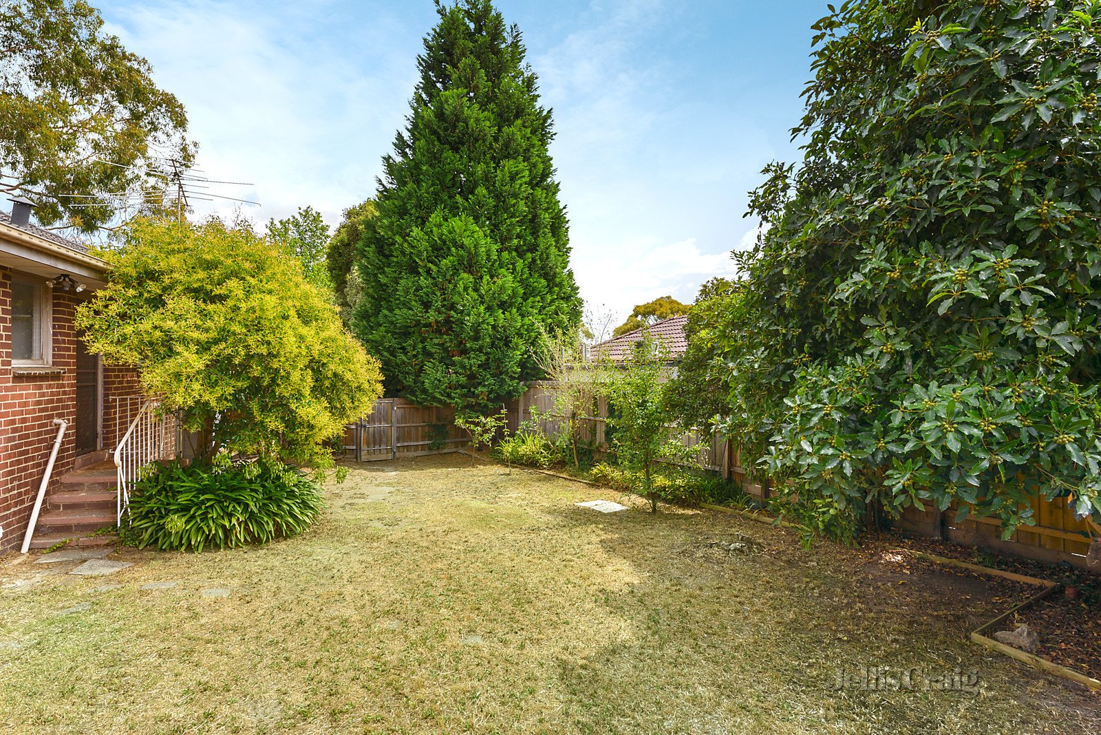 35 Bermuda Drive, Blackburn South image 8