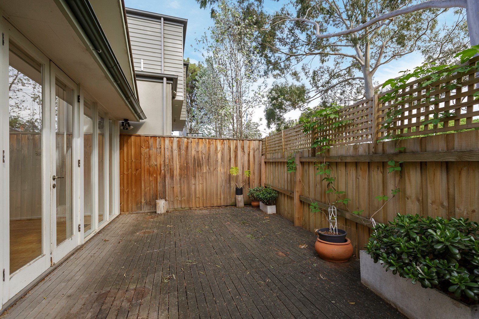 35 Brook Street, Hawthorn image 6