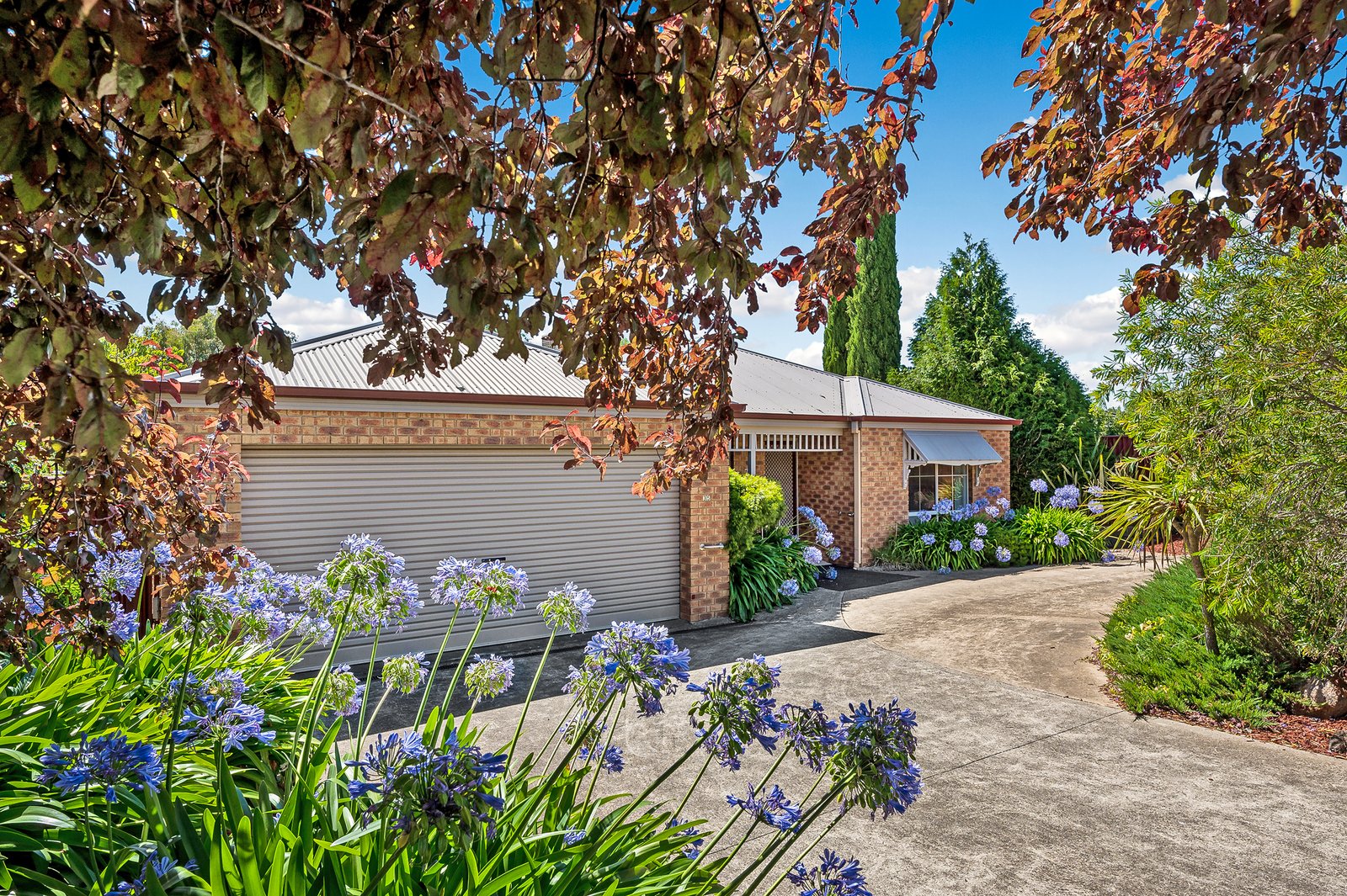 Property Gallery - Main Image