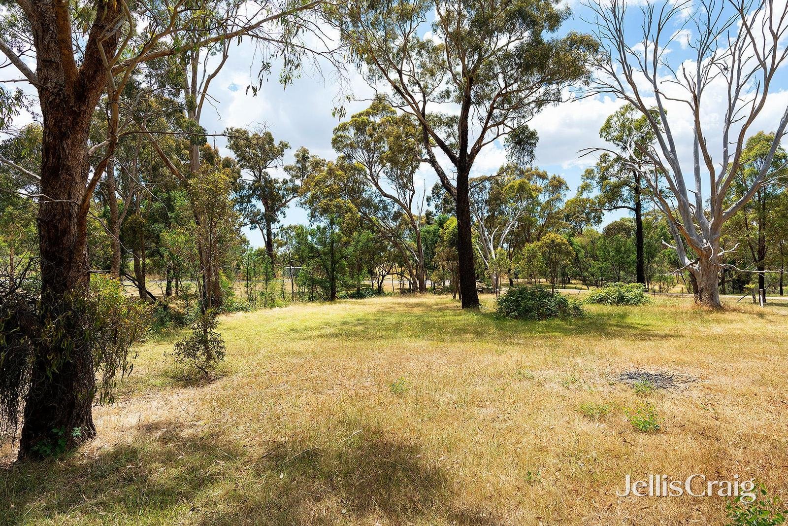35 Diggers Way, Elphinstone image 4