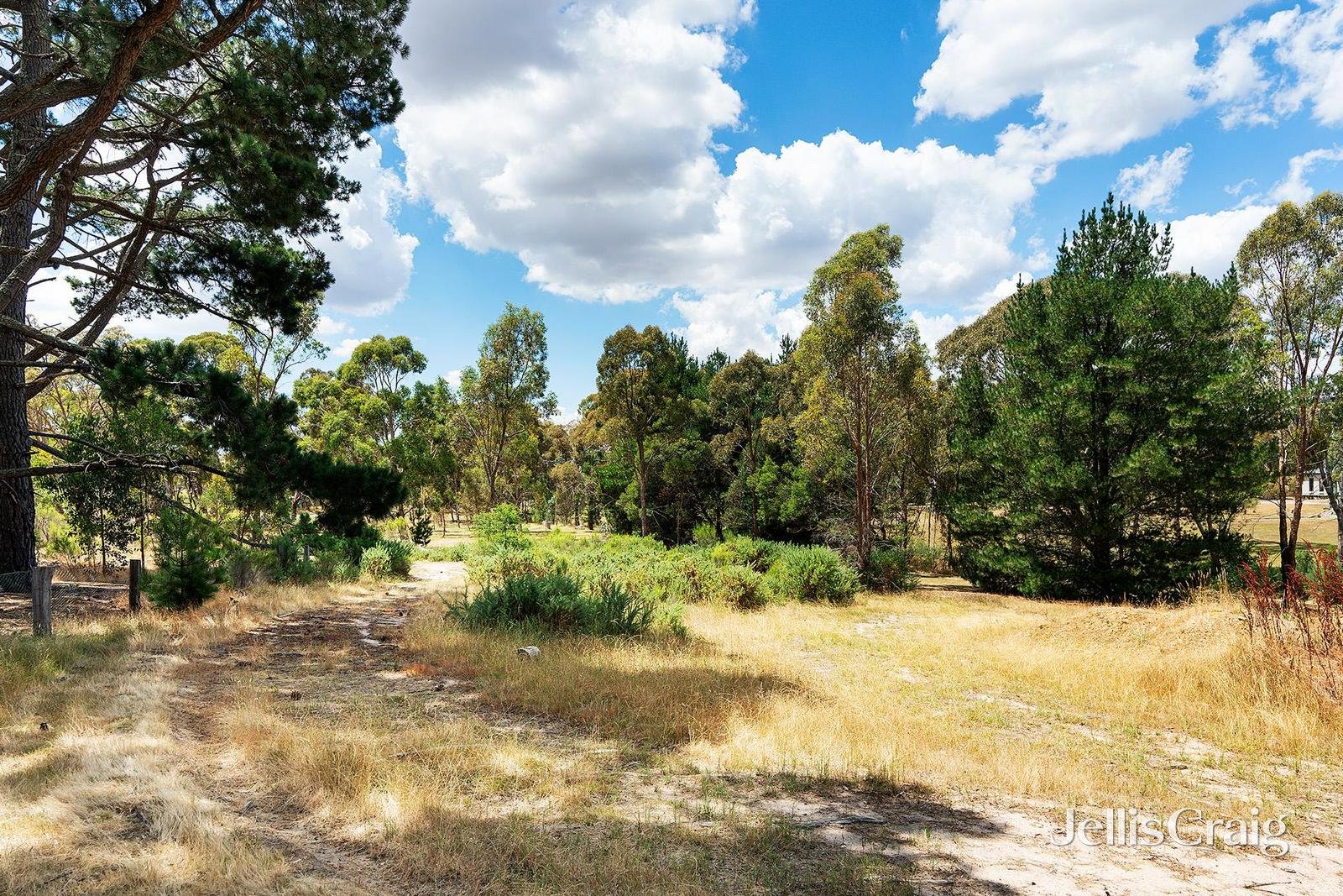 35 Diggers Way, Elphinstone image 5