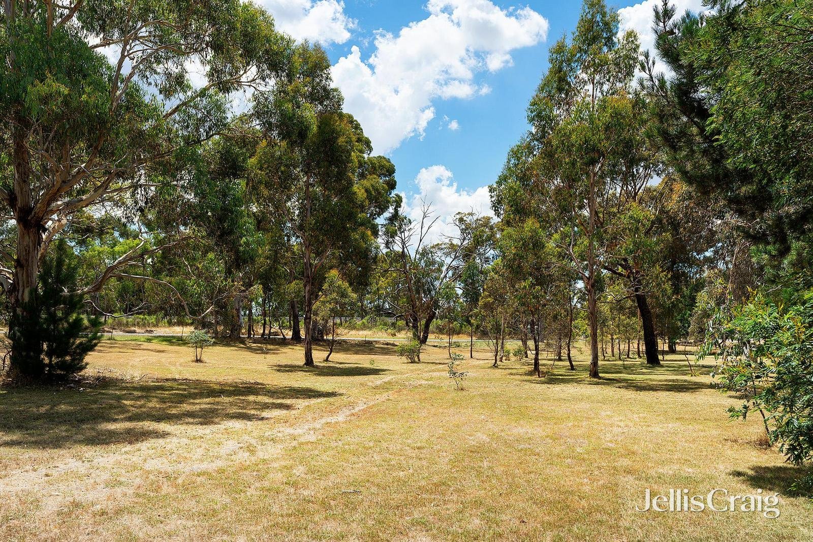 35 Diggers Way, Elphinstone image 6