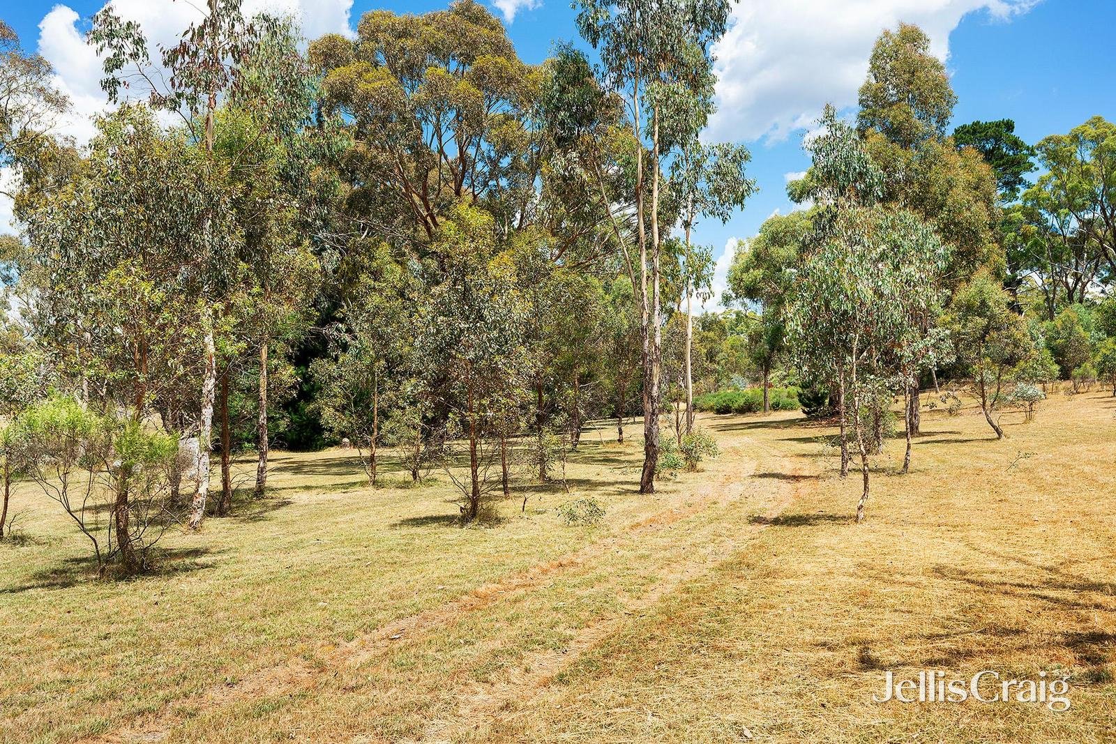 35 Diggers Way, Elphinstone image 8