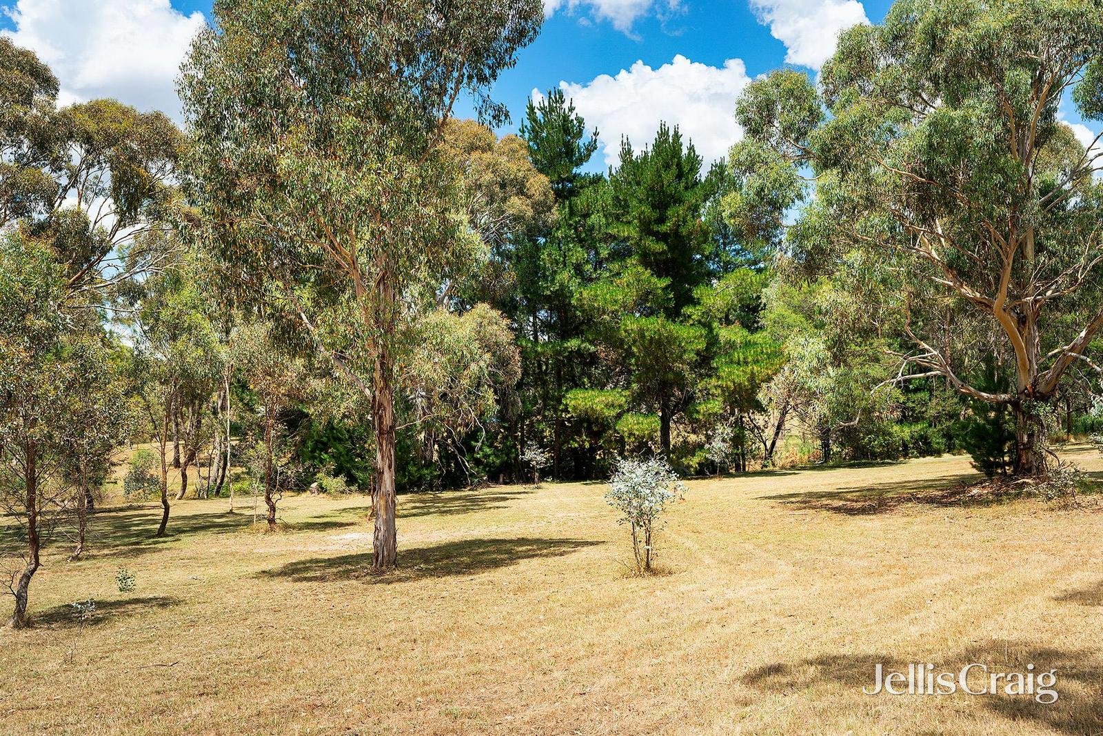 35 Diggers Way, Elphinstone image 10