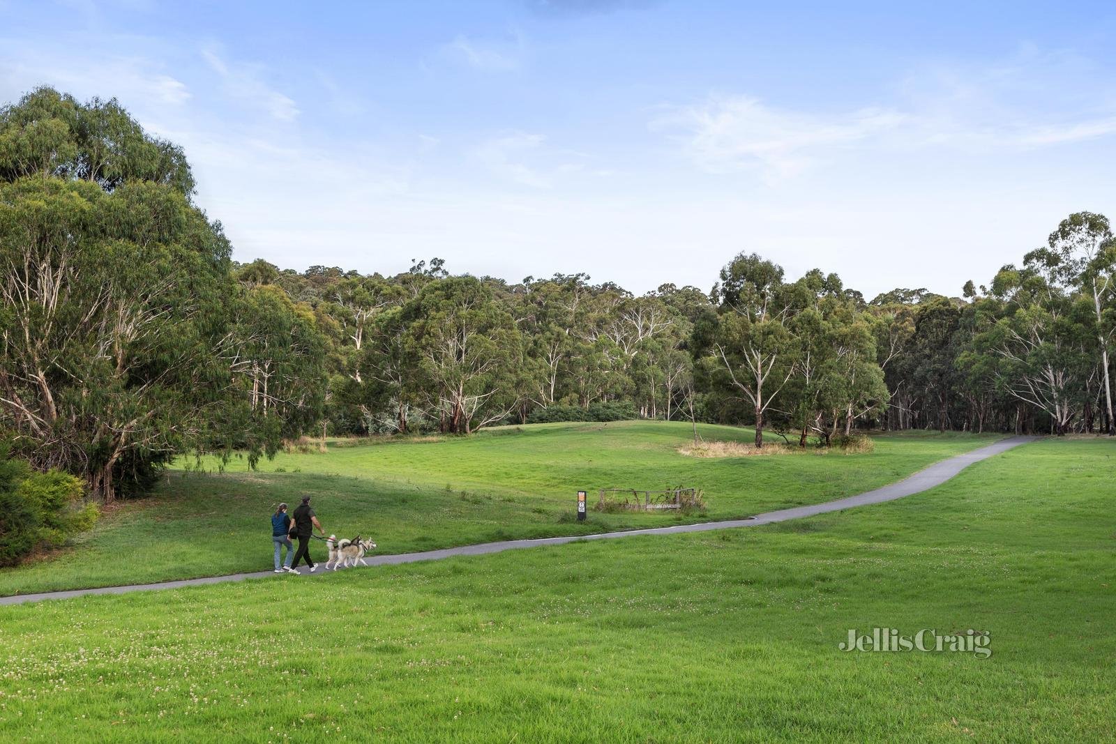 35 Falkiner Street, Eltham image 11