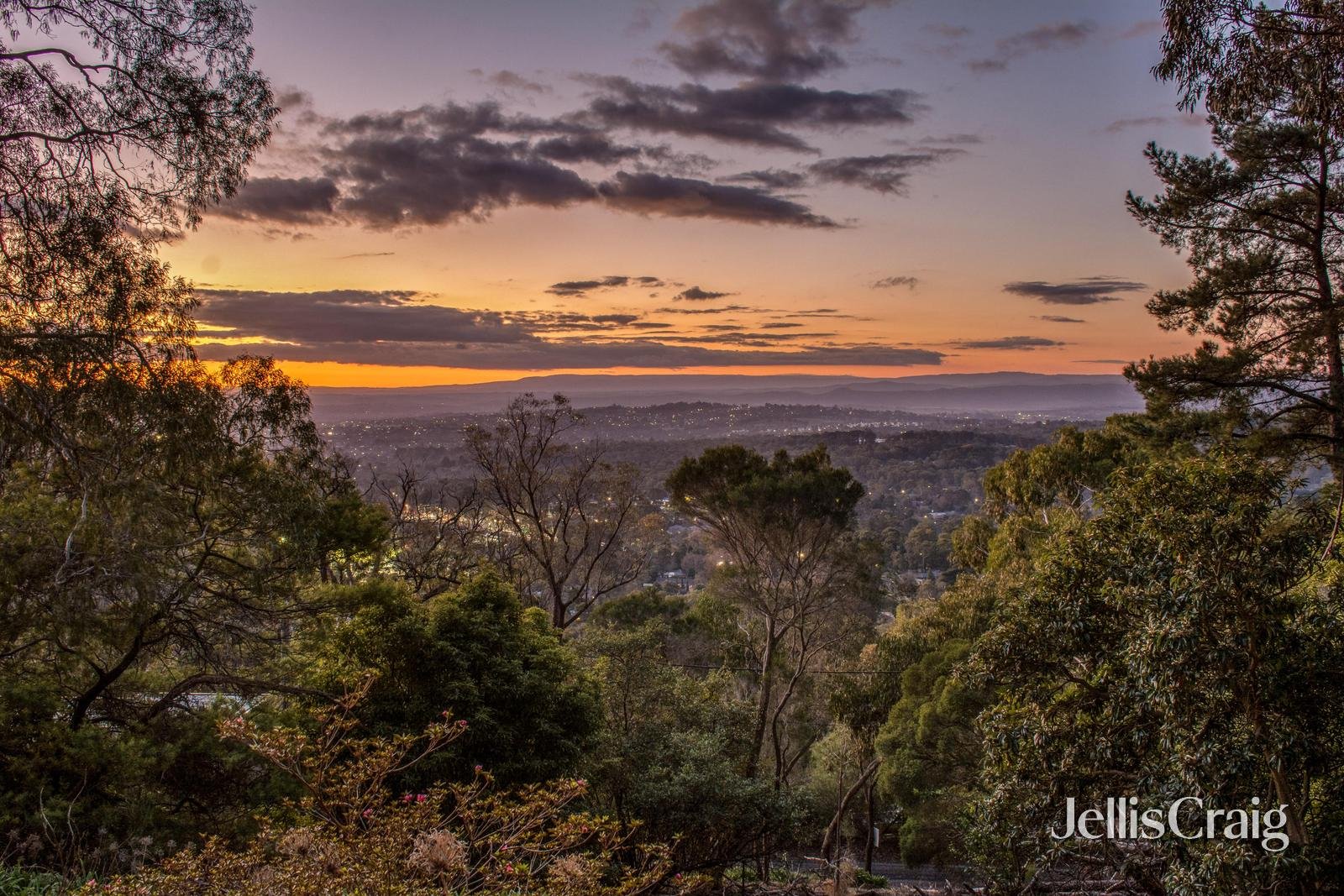 35 Marshall Terrace, Montrose image 19