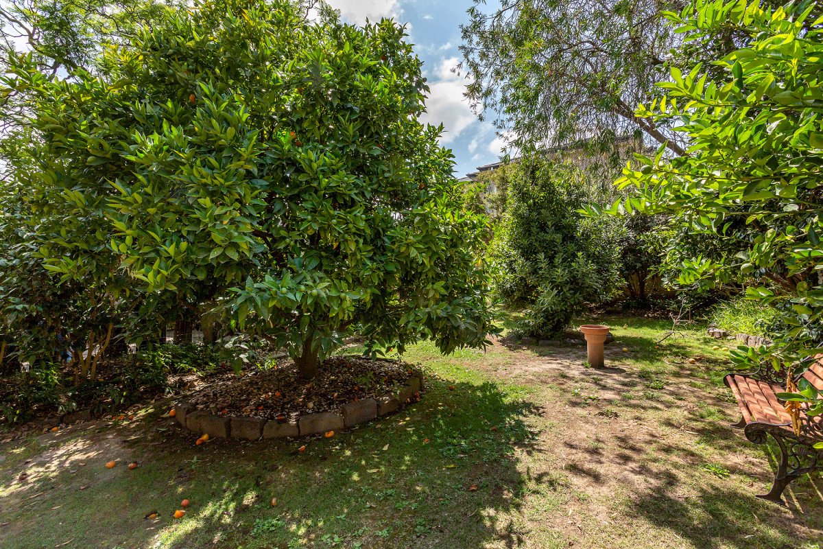 35 Minerva Avenue, Balwyn North image 10