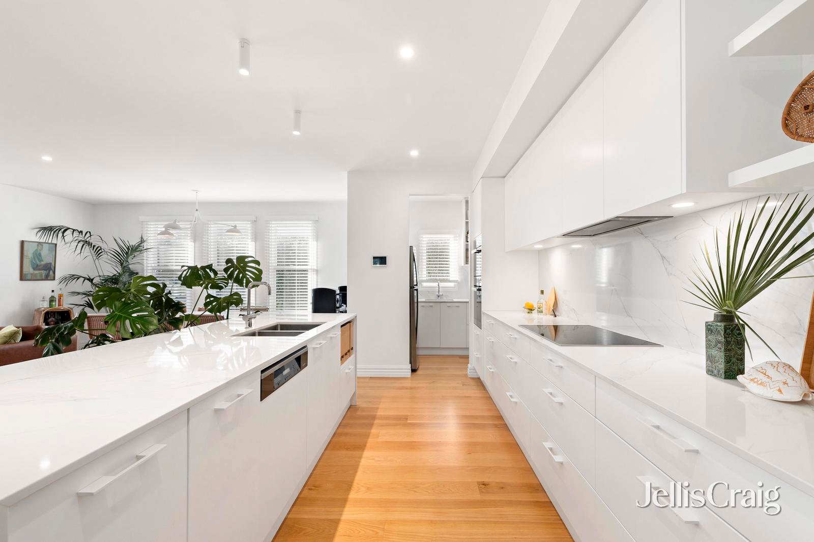 35 Nairn Avenue, Ascot&nbsp;Vale image 5