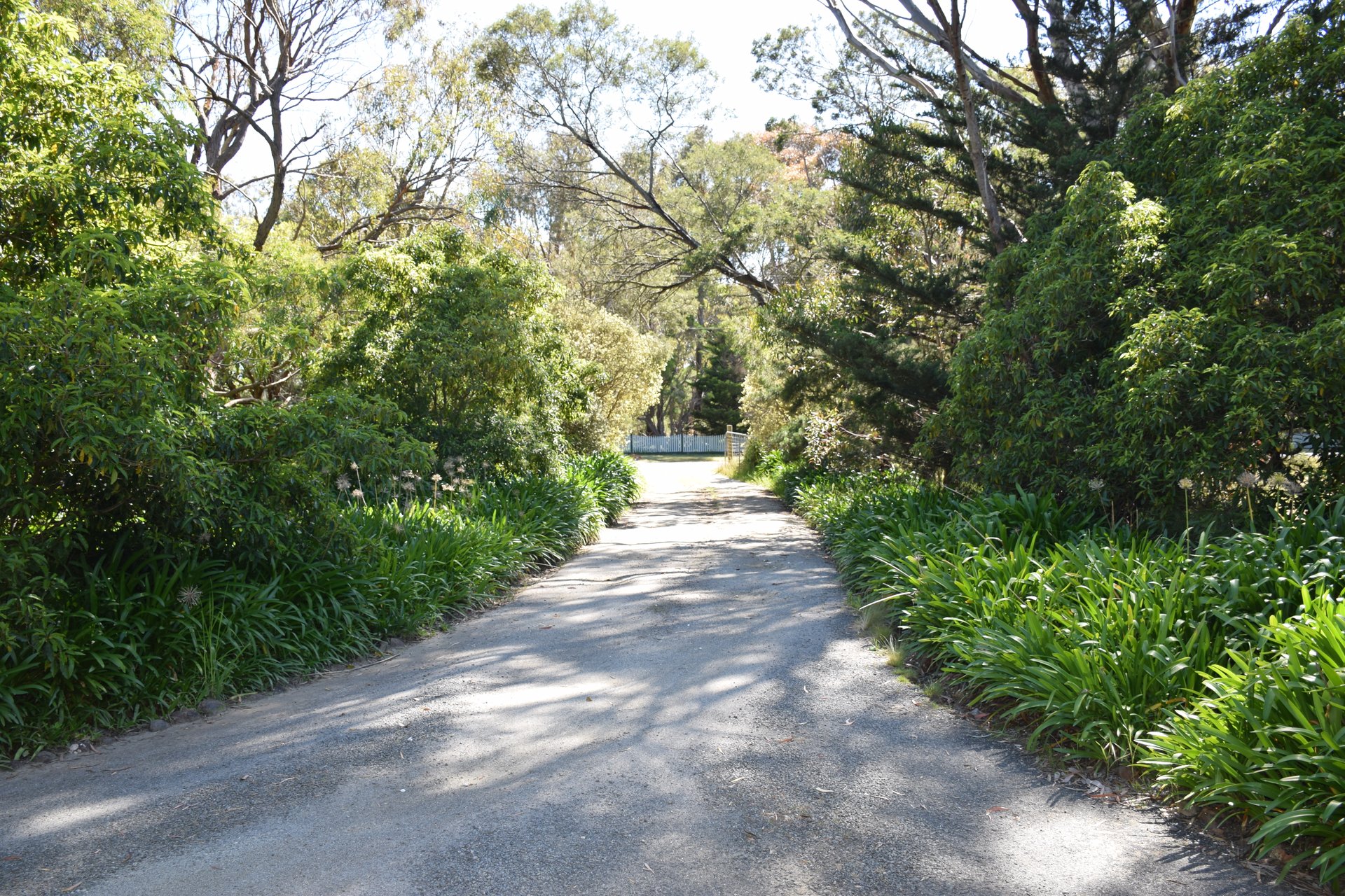 Property Gallery - Main Image