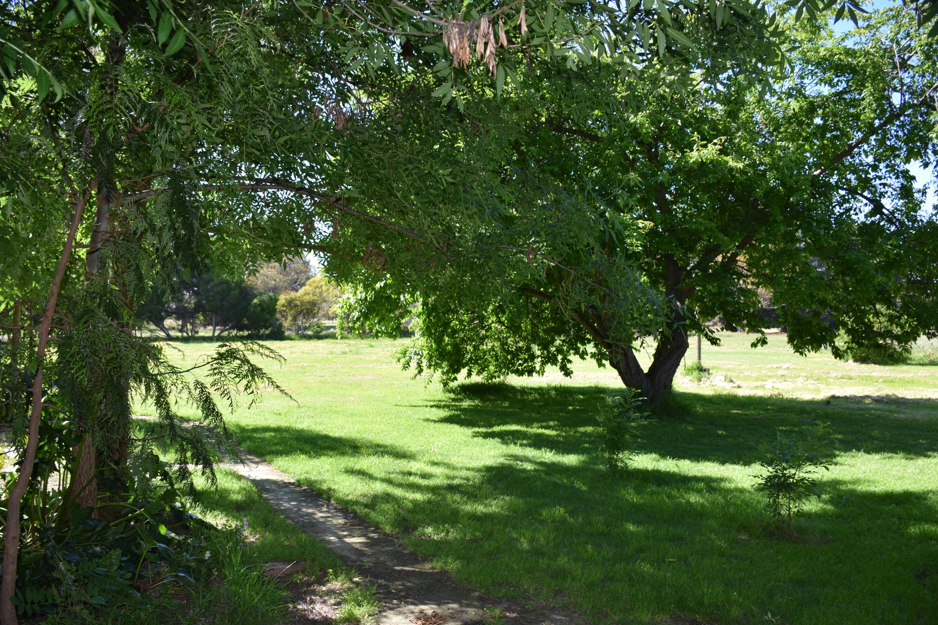 Property Gallery Thumbnail 6