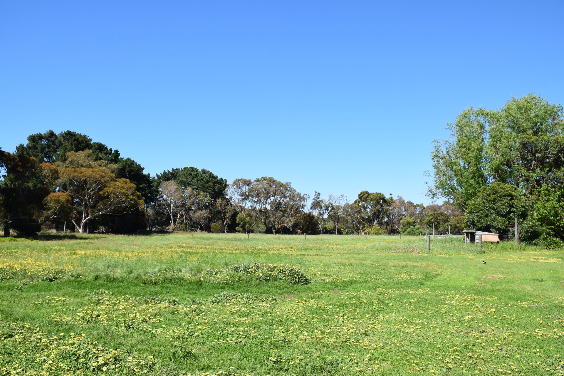 Property Gallery Thumbnail 7