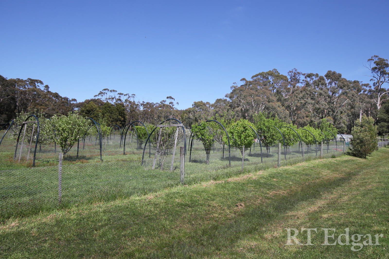 Property Gallery Thumbnail 21