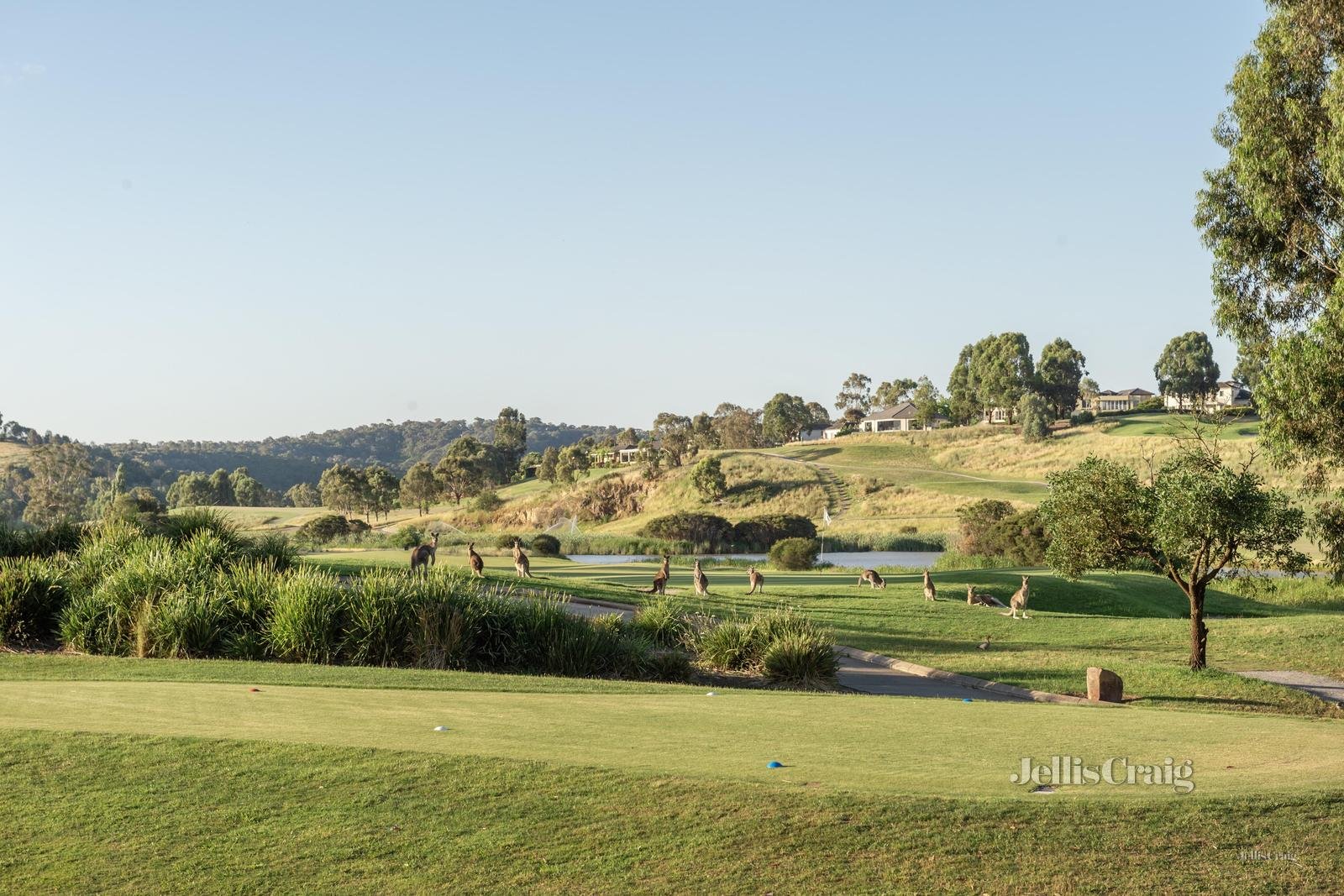 35 St John Circle, Chirnside Park image 12