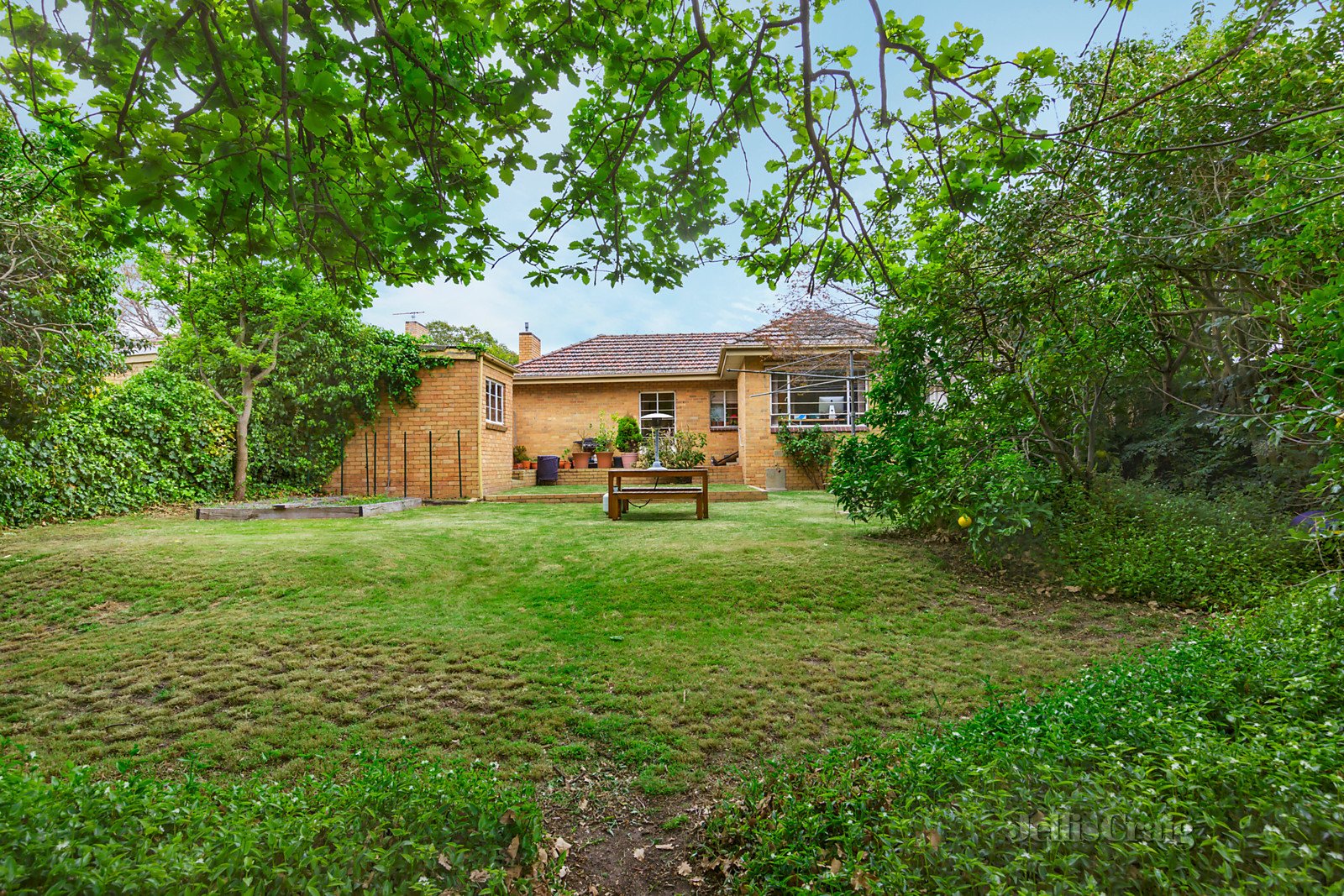 35 Thurso Street, Malvern East image 5