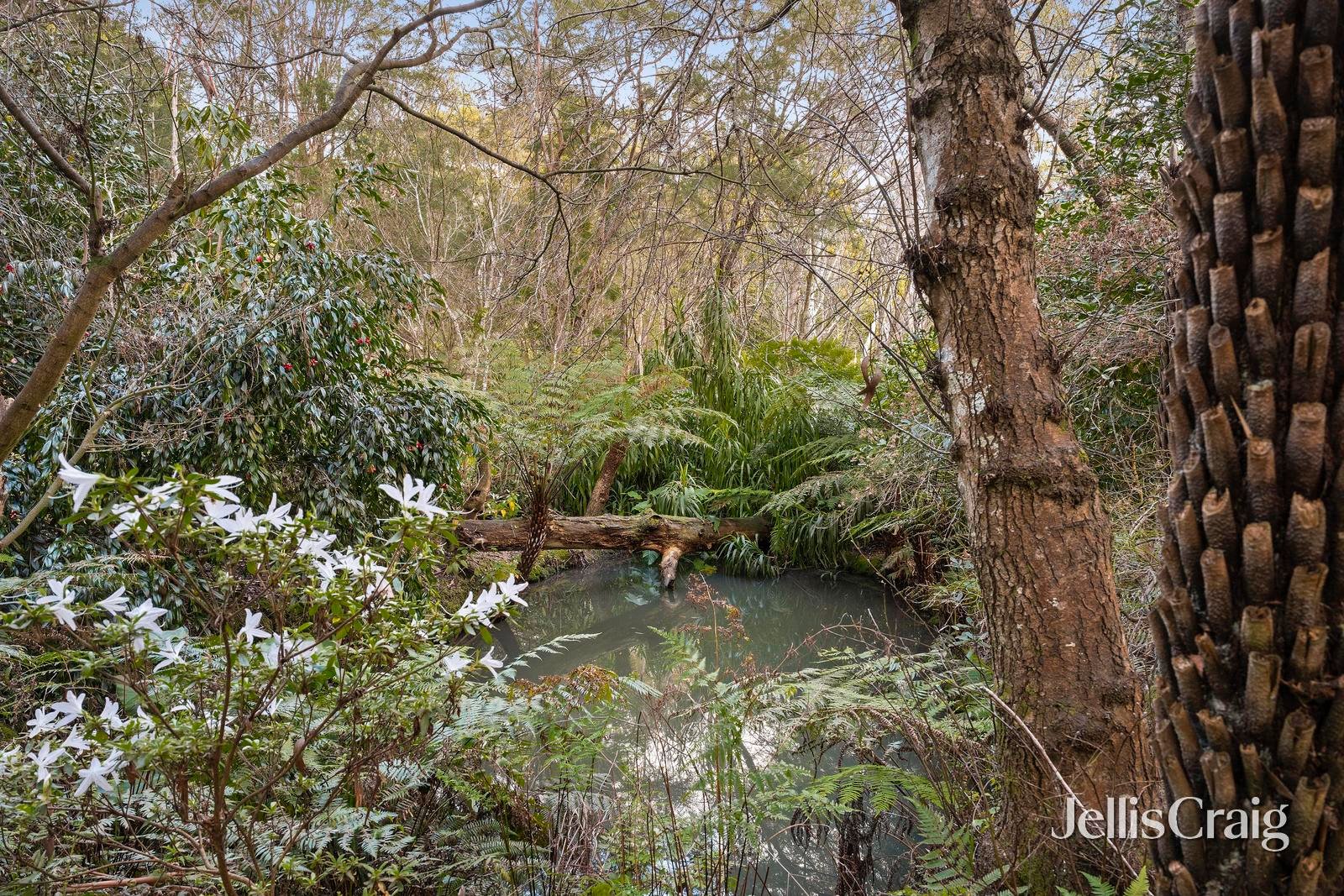 35 Tulloch Street, Millgrove image 21