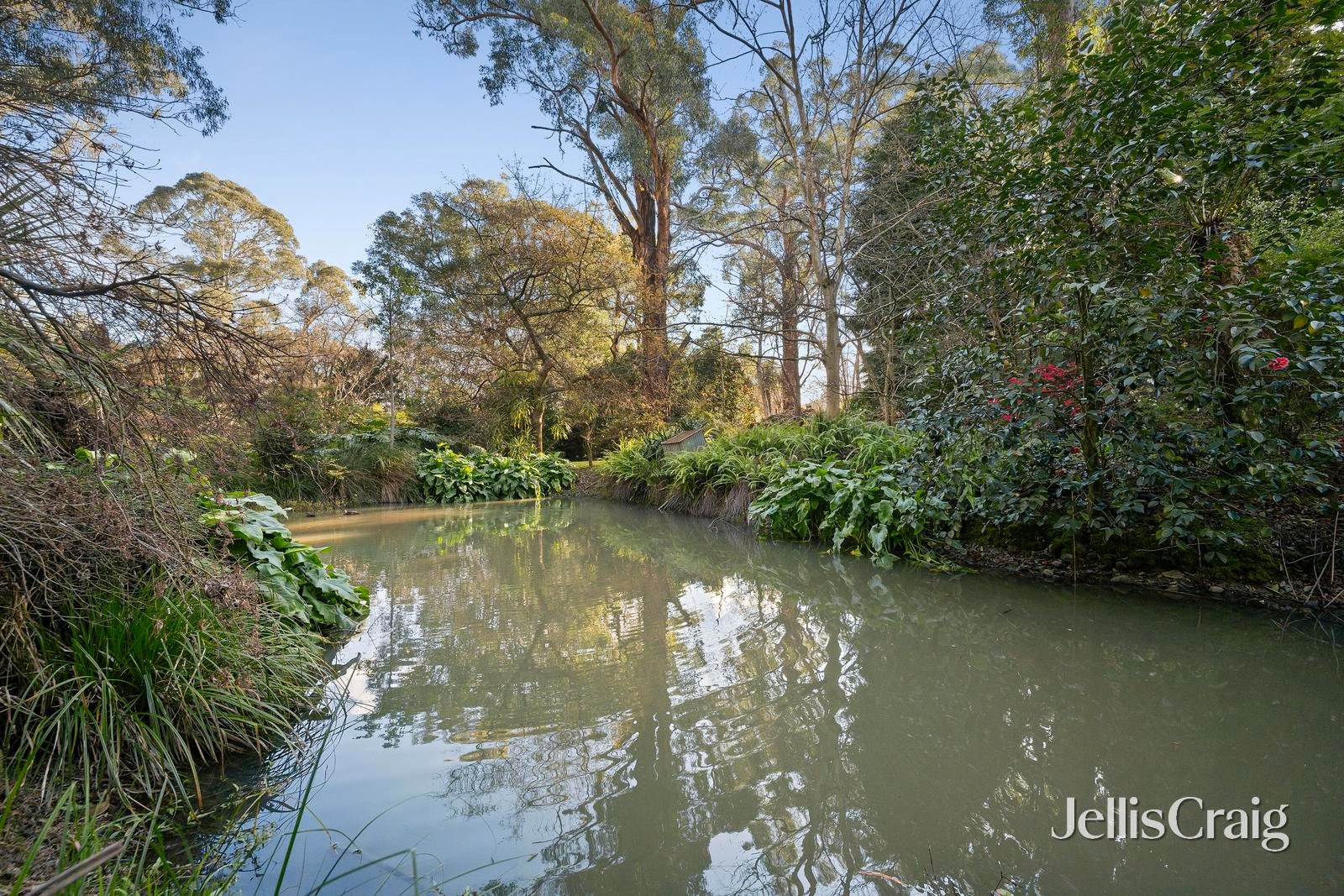 35 Tulloch Street, Millgrove image 24