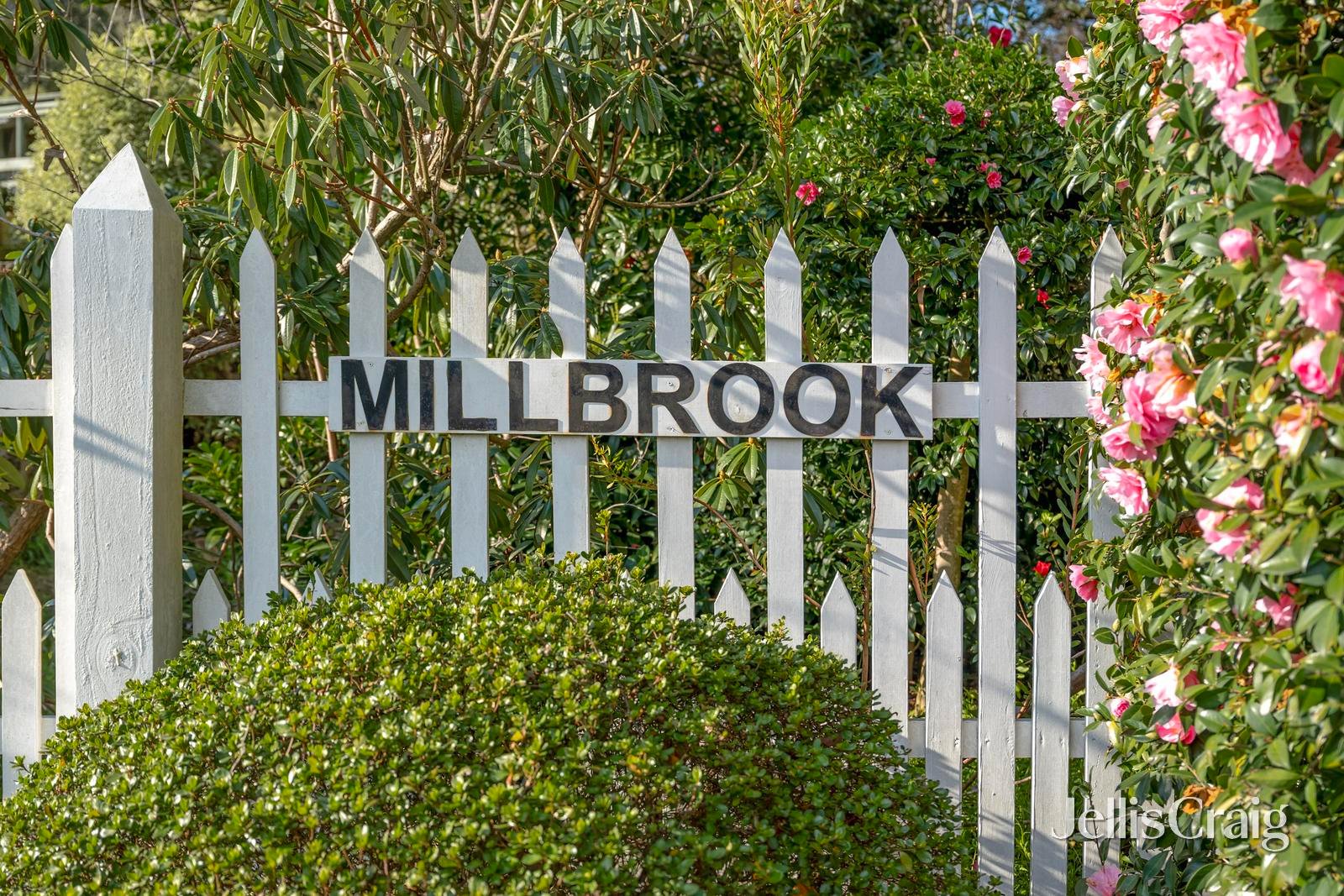 35 Tulloch Street, Millgrove image 25