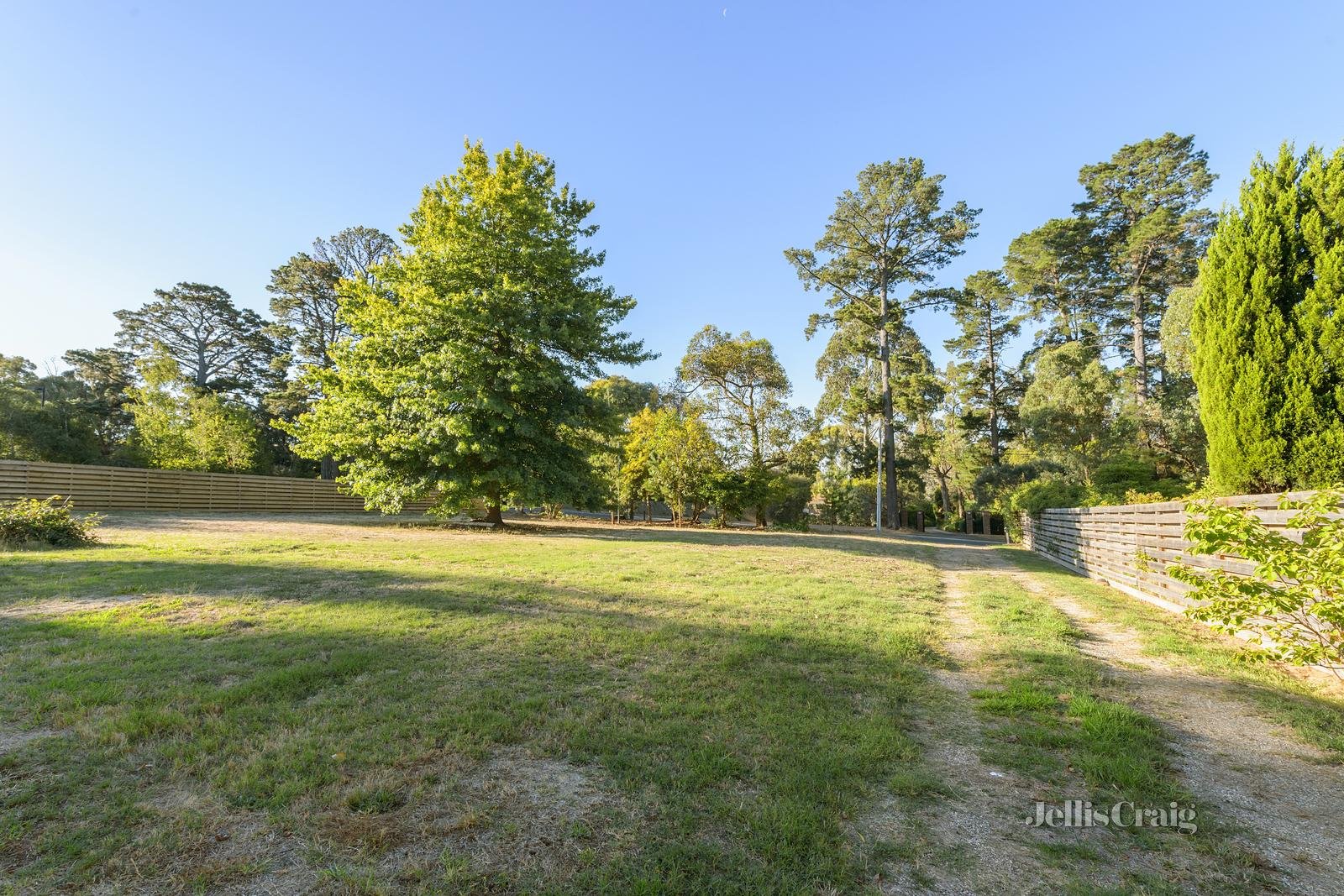 35 Williams Road, Park&nbsp;Orchards image 4