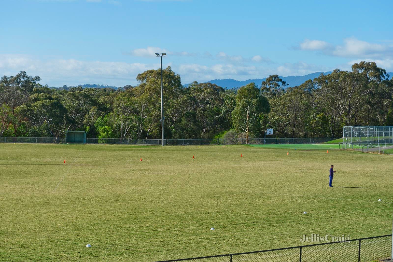 35 Williams Road, Park&nbsp;Orchards image 7