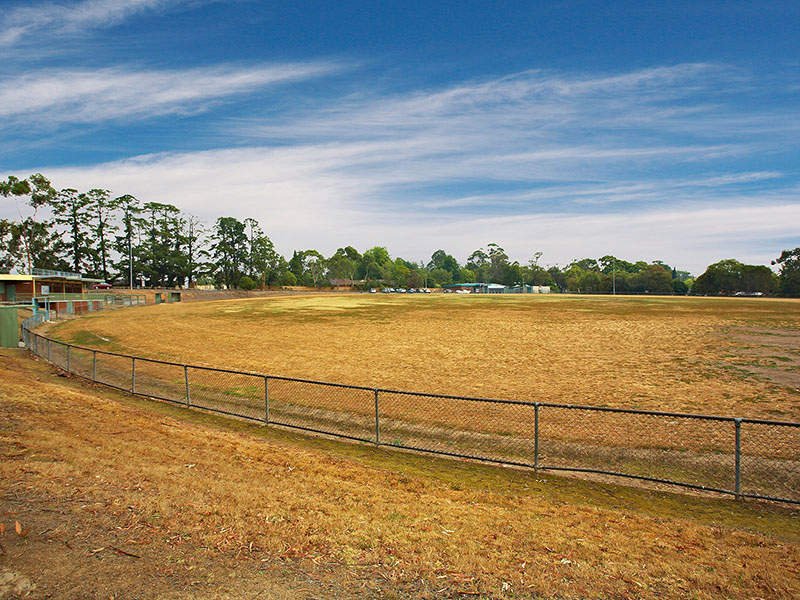 35 Wonga Road, Ringwood North image 4