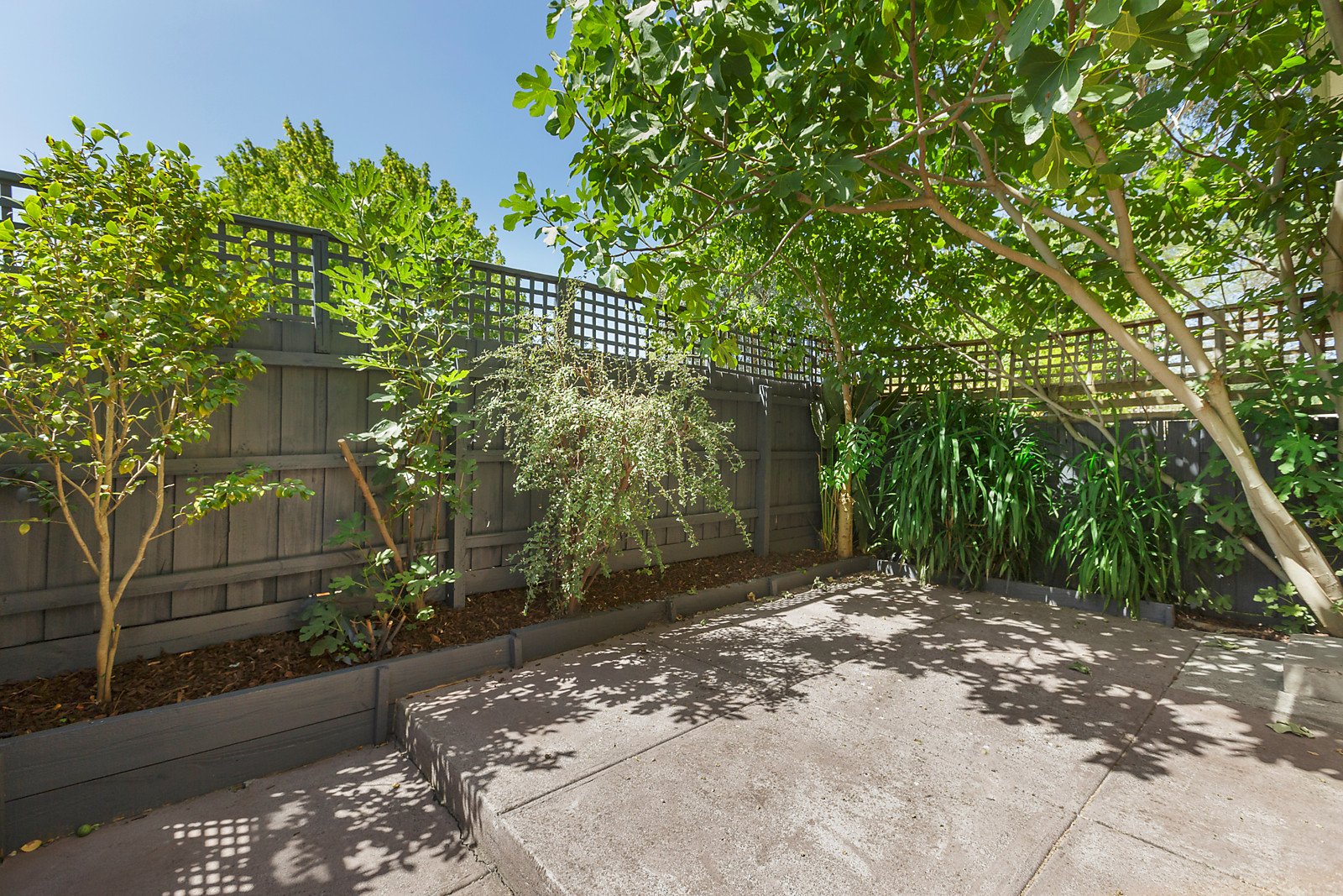 3/50 Anderson Street, Lilydale image 8