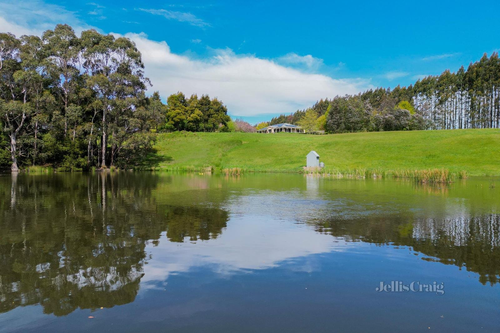 350 Lagoon Road, Trentham image 10