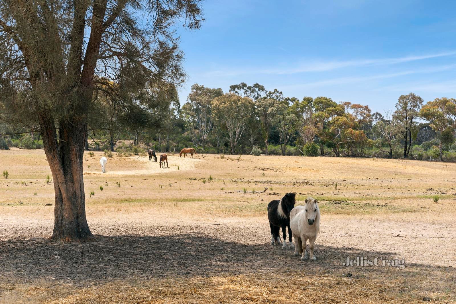 350 Sinclairs Lane, Walmer image 10