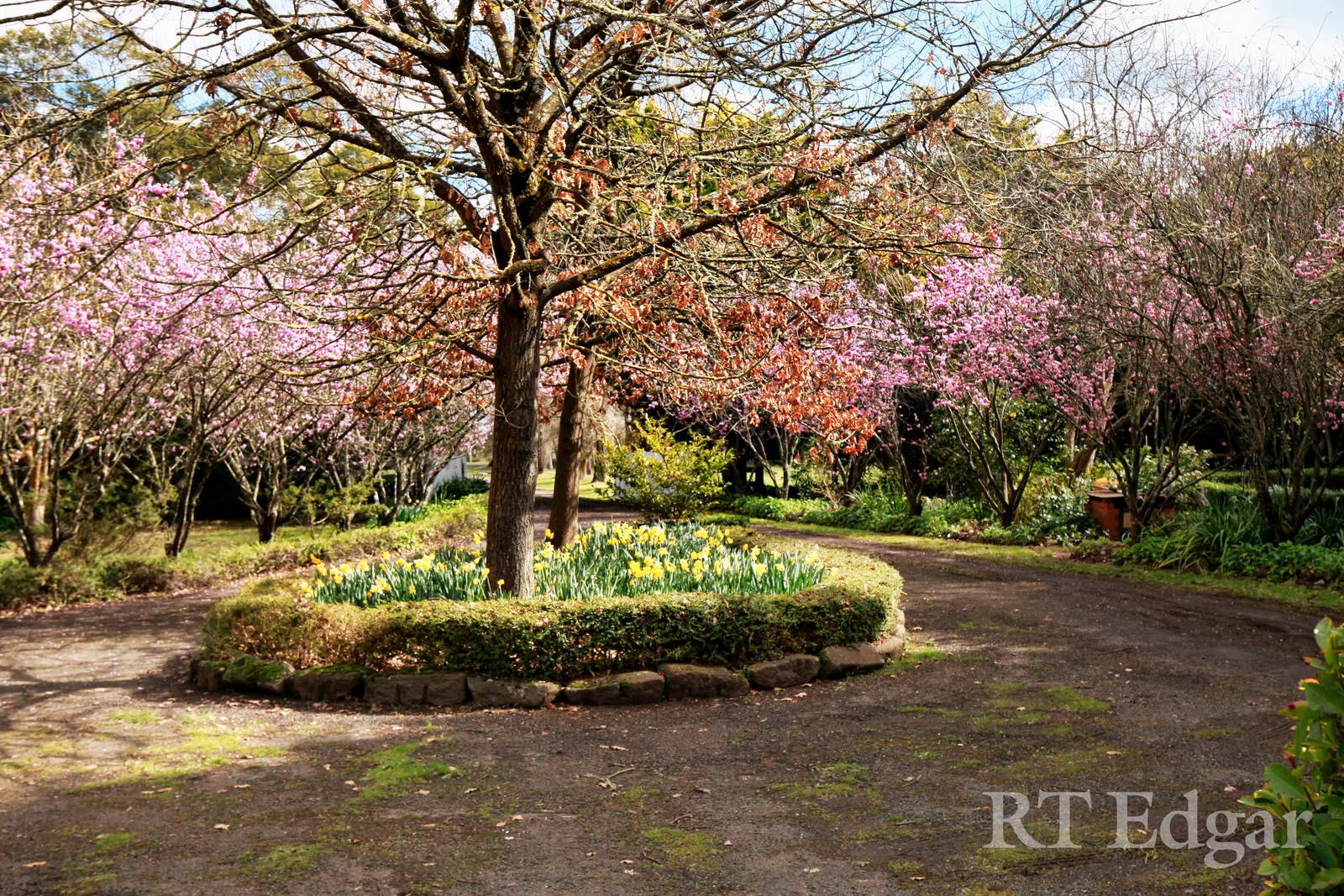 Property Gallery Thumbnail 4