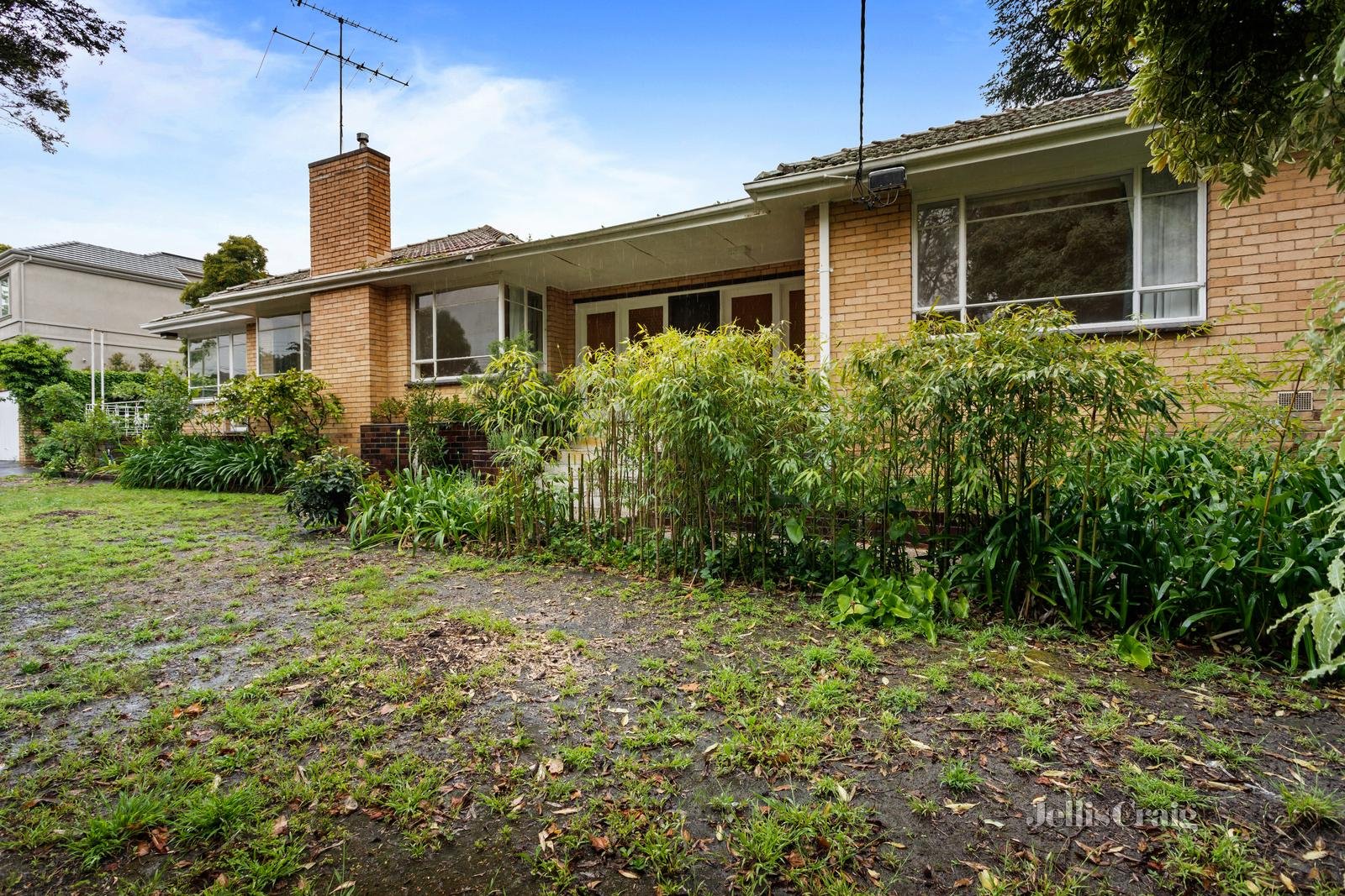 351 Belmore Road, Balwyn North image 5