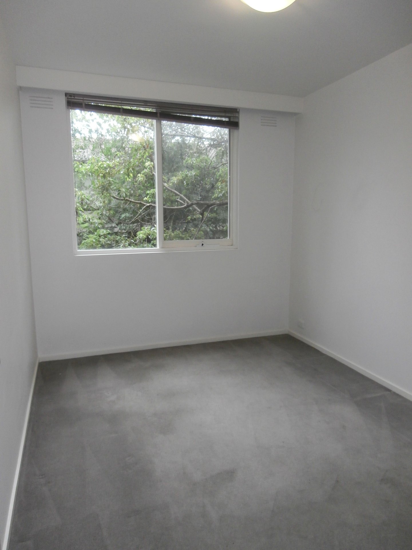 3 / 521 Royal Parade PARKVILLE, VIC 3052