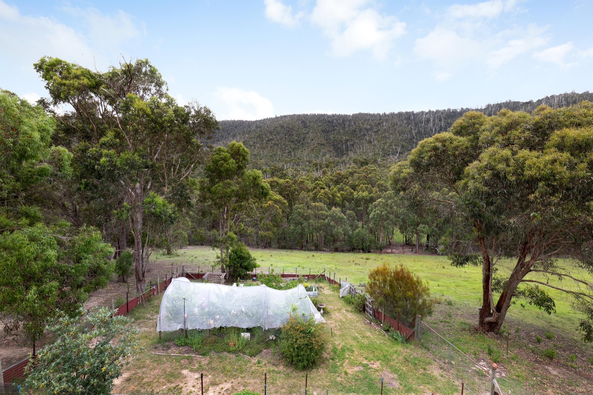 355 Chadds Creek Road, Strathewen image 16